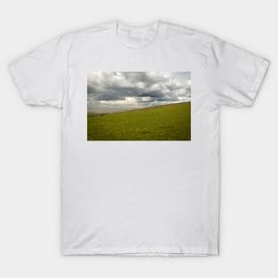 Wet Summers & Valley Hills - 2014 T-Shirt